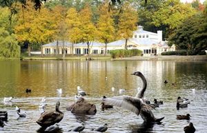 Image of Villa Rosali Boutique Hotel