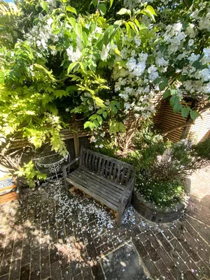 Image of Black Tile Cottage