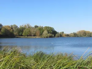 Image of Au Bord de L'Eau