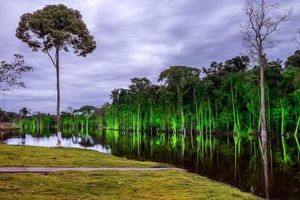 Image of Pousada Amazônia