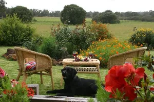 Image of SilverSprings Spa Retreat Pet Friendly Cottages and Glampings