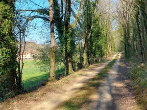Image of Ferme des Petites Oreilles 4 étoiles
