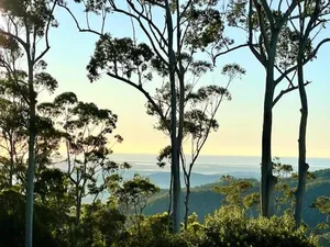 Image of Tamborine Mountain Lodge