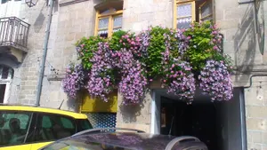 Image of LA GARDE DUCALE