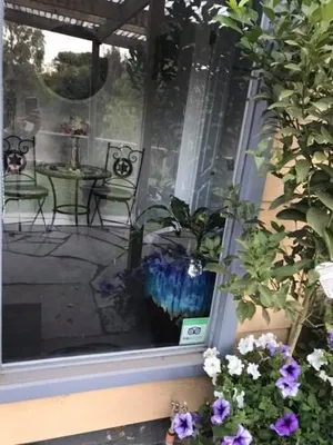 Image of Adagio In Auburn