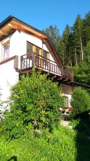 Image of Rulfik