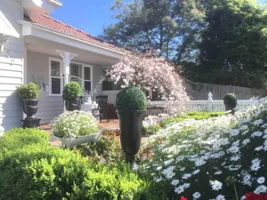 Image of Newport Cottage, 5 guests 7 days min