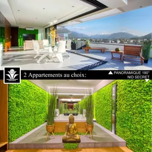 Image of Panoramique 180 lac et montagne et Nid Secret spa romantique