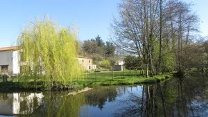 Image of Chambres d'hôtes de La Templerie-Moulin