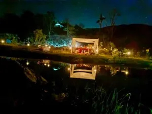 Image of The Jungle Lust