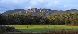 Image of A Boat in the Grampians