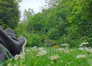 Image of Vor lauter Bäumen B&B