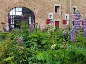 Image of Meschermolen 14