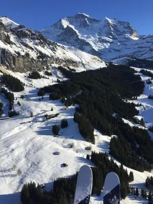 Image of Wengen Lauberhorn - Flat available