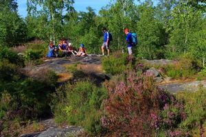 Image of Camping Marvilla Parks -Parc des roches 91530