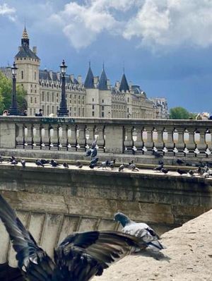 Image of Parfait pour visiter ou travailler près de Paris - Makalu