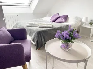 Image of Esprit Violet - Joli Studio Salengro - Sauna & Sport club