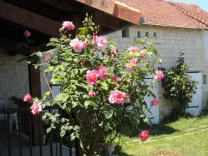 Image of gite en touraine climatise