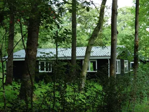 Image of House with a garden, surrounded by forest