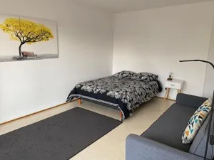 Image of Studio 35 - centre ville, proche Bâle