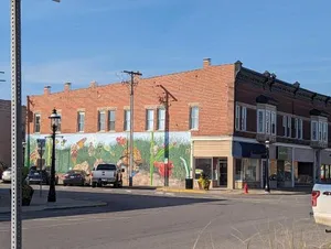 Image of Charming Apartments in the Heart of Robinson