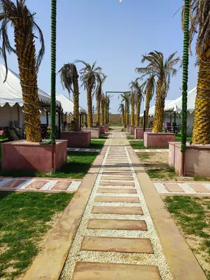 Image of Elegance Resort