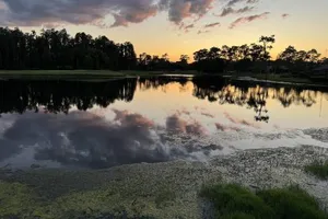 Image of Fox Hunt Studio Suite - Golf Course Views