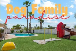 Image of Dog Family Paradise