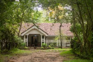 Image of Cadjan Sacred Anuradhapura