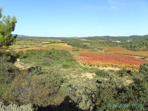 Image of Domaine Les Salices