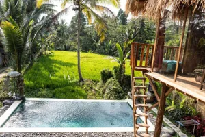 Image of BALI BAMBOO JUNGLE HUTS AND HOSTEL