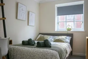 Image of Lovely 3-bedroom apartment in Colchester