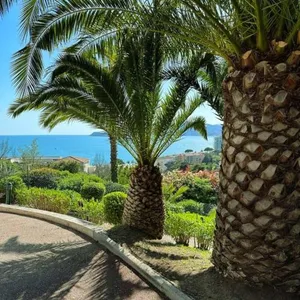 Image of Villa Francia Cannes