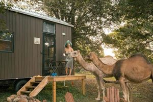 Image of Fig Tree Cottage by Tiny Away