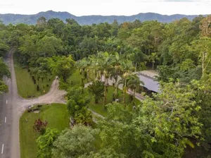Image of Daintree Siesta
