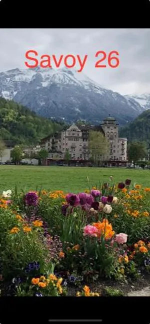 Image of SAVOY 26