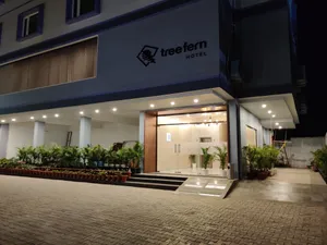 Image of Hotel Tree Fern