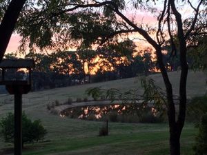 Image of Raynella Alpaca Farmstay