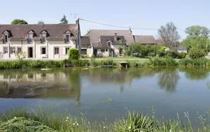Image of Holistica