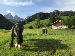 Image of Au Pré des Chevaux