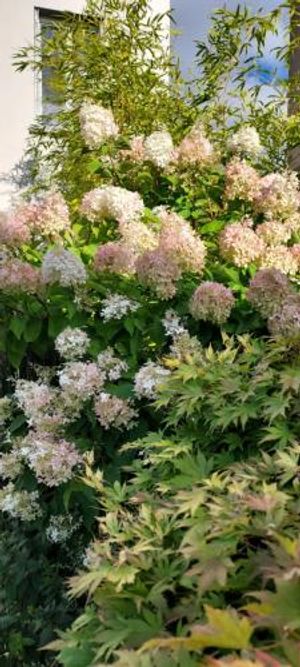 Image of Chambre 2 Vue sur le jardin