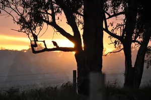Image of Tallawarra Homestead