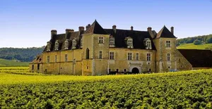 Image of le clos des genêts