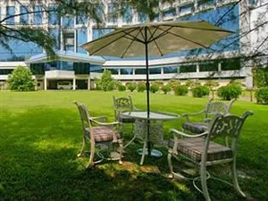 Image of Seagull Hotel Ltd