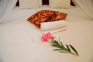 Image of Nisala Guest