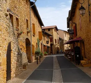 Image of Songes de vigne