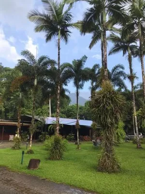 Image of Daintree Siesta