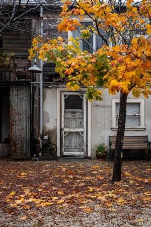 Image of Leura Haven Homestead - Grand rustic cottage for 4