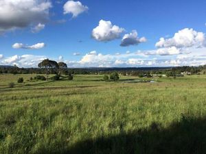 Image of Garden-nestled granny flat between winery and town