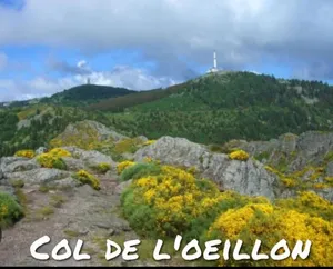 Image of Le QG chez Flo et David